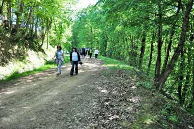 Gümüşova Dereköy ve Yeşilyayla Köyleri Arası Doğa Yürüyüşü Etkinliği